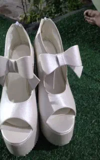کفش مجلسی