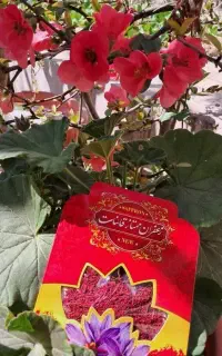 زعفران اقتصادی