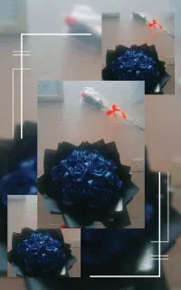 گل ربانی