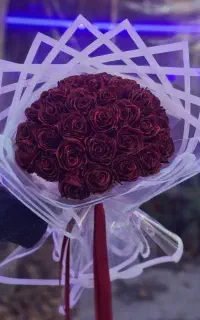 گل روبانی