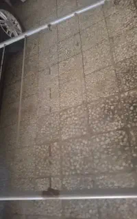 رخت اویز اهنی