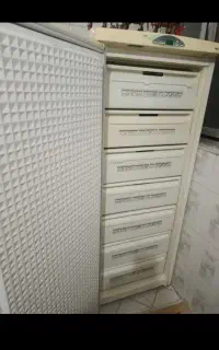 فریزر پارس