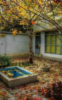متقاضی پرستار کودک
