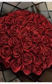 گل رز روبانی