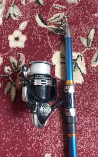 لنسر کاملاً سالم و قوی