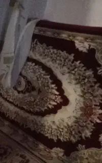پشتی