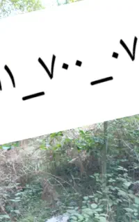 سیم کارت دایمی۰۹۱۱۷۰۰۰۷۱۹