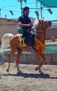 اسب