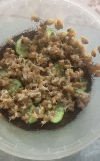 حلزون