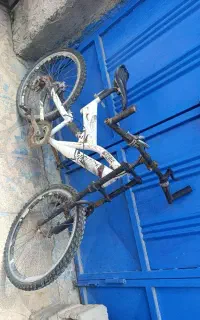 دو چرخه کوهستانی