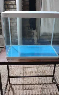 کواریوم شیشه ایی