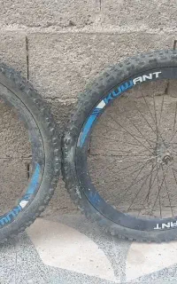 تایردوچرخه۲۴همراه فرمون