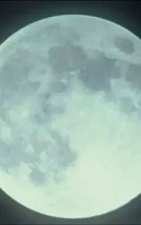 خط تلفن ثابت رند