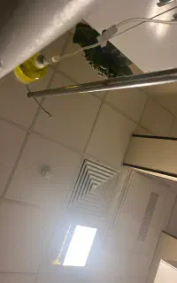 استخدام