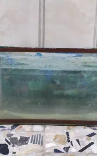 آکواریوم