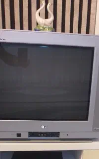 تلویزیون