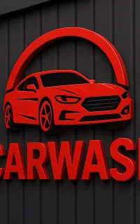 نیروی کار کارواش