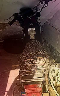 موتور