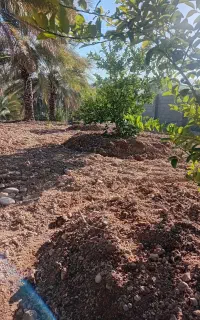 پاکن کن با کولتیواتر 8تا4عصر