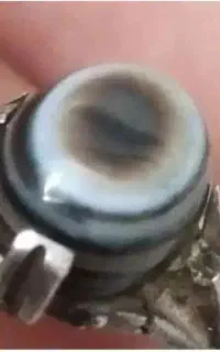 دو عدد انگشتر خاص و کمیاب