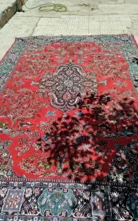 قالی
