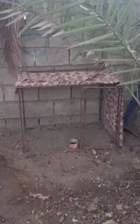 قفس برای مرغ
