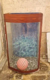 اکواریوم