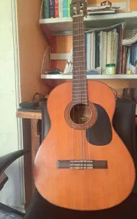 گیتار  YAMAHA G-100D
