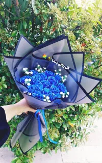 گل ربانی نـلا