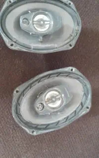 باند پایونیر  خانگی