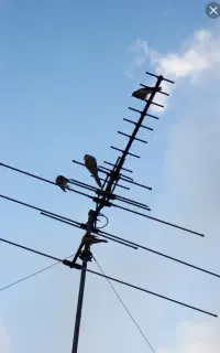 نصب و راه اندازی آنتن مرکزی