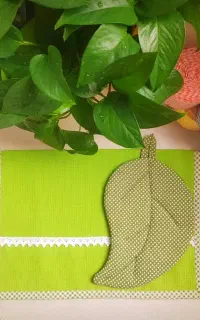 فروش دستگیره های میوه ای هم تک، هم جفت، هم عمده