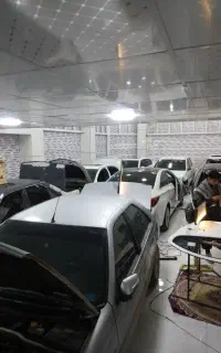 یک pdrکار ماهر و نقاش ماهر