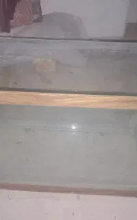 آکواریوم