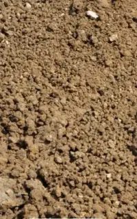 خواهان خاک تناژ بالا برای پر کردن زمین