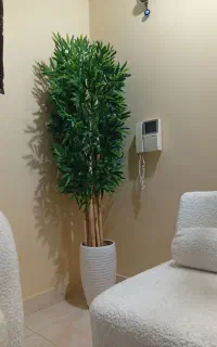 درختچه مصنوعی بامبو با چوب طبیعی