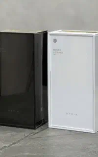داریا باند 2