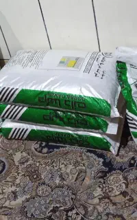 دانه تخم گذار