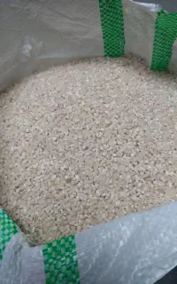 نیم دانه هاشمی
