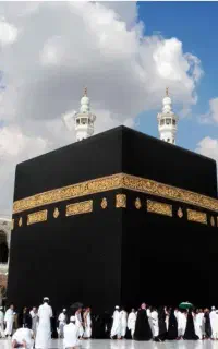 فروش فیش مکه