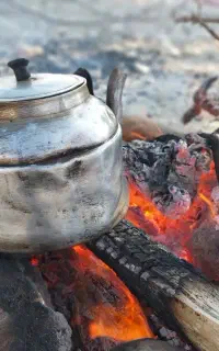 خانم هستم نیازمند کار