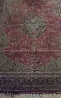 فرش