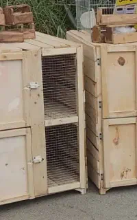 لانه پرنده  قفس گنجه