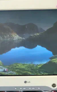 مانیتور ال جی