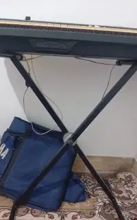 پایه ارگ
