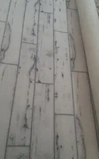 موکت در حد نو