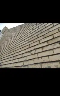 بنا سفت کار