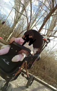 کالسکه دلیجان