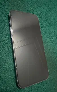 13 pro max