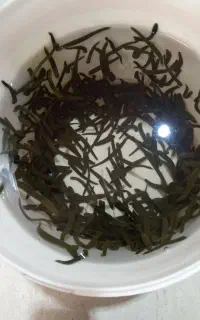 فروش زالو گیرا متوسط